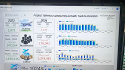 Lonjakan Penumpang di Bandara Hang Nadim Batam Periode 18-30 Desember 2024 Tercatat 170.042 Orang