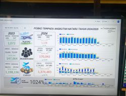 Lonjakan Penumpang di Bandara Hang Nadim Batam Periode 18-30 Desember 2024 Tercatat 170.042 Orang