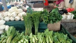 Harga sayur