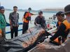 Tim SAR Kembali Temukan Seorang Korban Speed Boat Tenggelam di Karimun