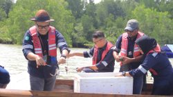 PT Timah Lepaskan Ribuan Bibit Kepiting di Perairan Kundur dan Karimun