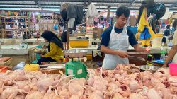 Harga Ayam Naik