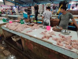 Warga Tanjungpinang Menjerit Harga Ayam Tembus Rp45.000 Per Kilogram