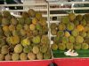 Lagi Musim, Beli Durian di Tanjungpinang Per Kilo Sama Kulitnya