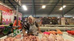 Harga Ayam Potong