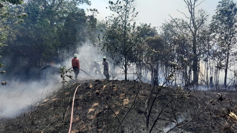 Kobaran Api Melalap 5 Hektare Lahan di Pantai Sakera Bintan