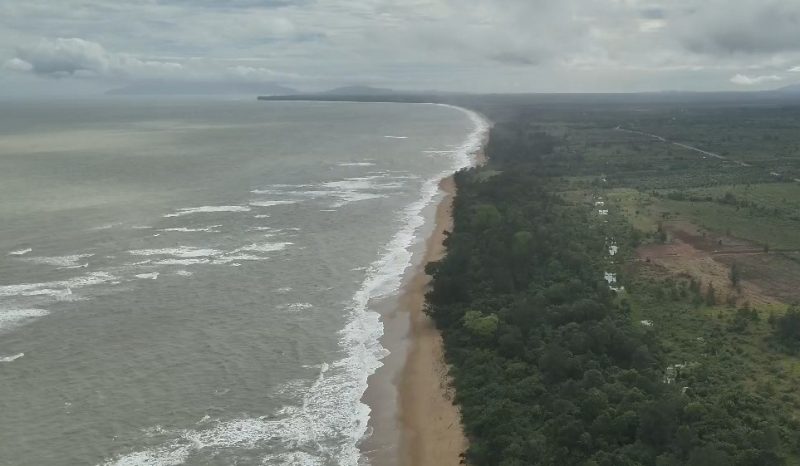 Gelombang Laut