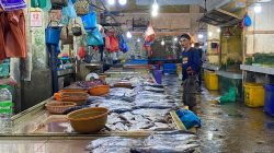 Harga Ikan Naik di Pasar Mini Bestari Tanjungpinang