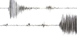 Gelombang Tsunami 1 Meter Hantam Kochi dan Miyazaki Jepang Usai Dihantam Gempa M 6,9